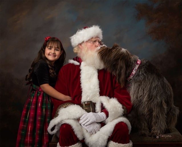 Gallery photo 5 of Santa Matty
