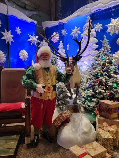 Gallery photo 10 of Santa McD
