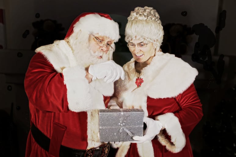 Gallery photo 4 of Santa Claus Mike & Mrs. Claus Tammi