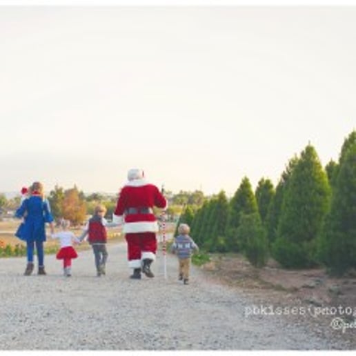 Gallery photo 4 of Santa Michael Wubker