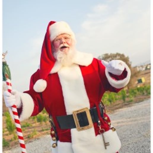 Gallery photo 5 of Santa Michael Wubker