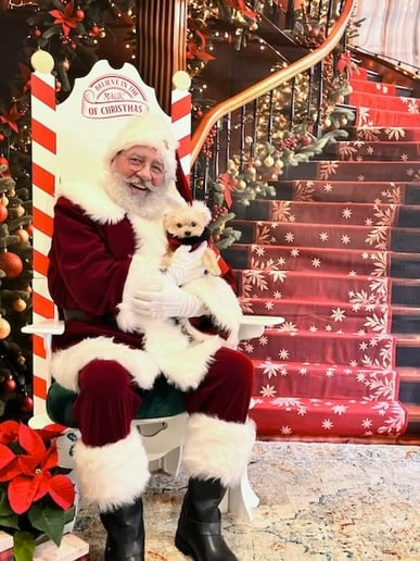 Gallery photo 31 of Santa Mike M
