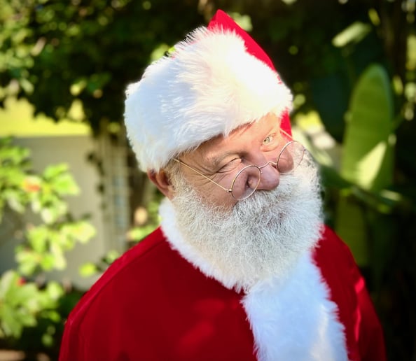 Gallery photo 5 of Santa Mike FTL