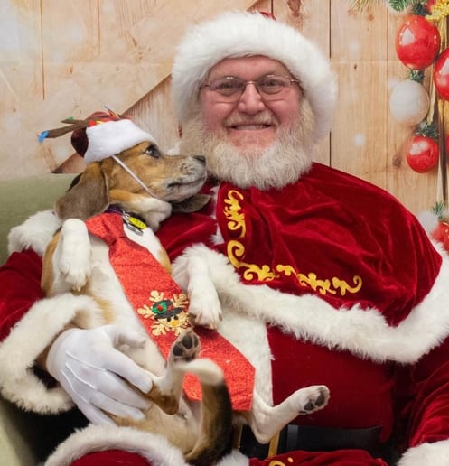Gallery photo 3 of Santa Mike K