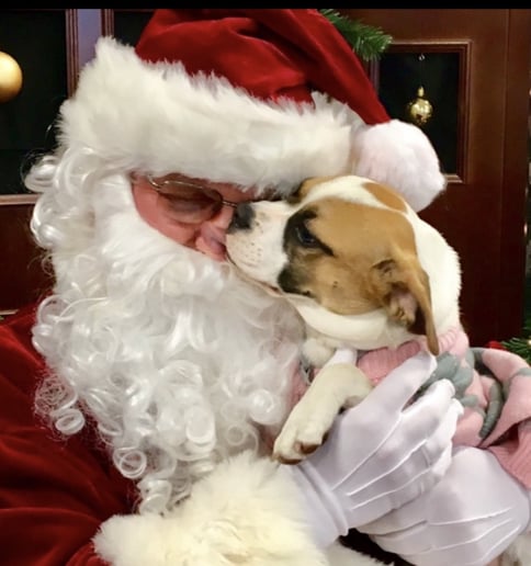 Gallery photo 9 of Santa Mike K