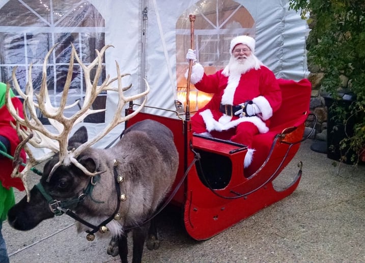 Gallery photo 4 of Santa Mike