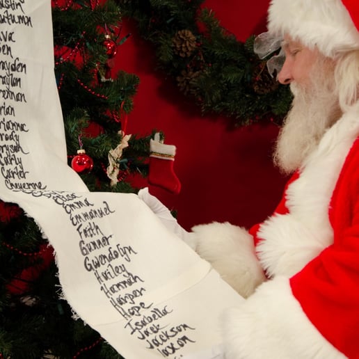 Gallery photo 6 of Santa Mike