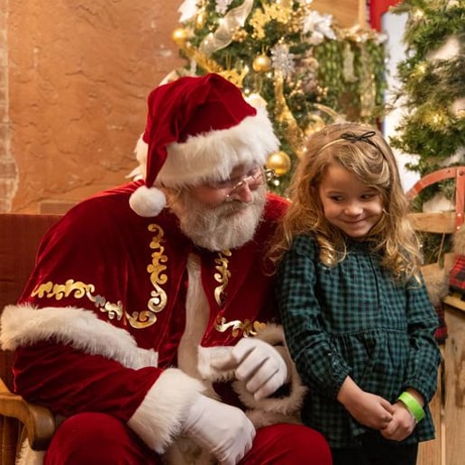 Gallery photo 2 of Santa Mike