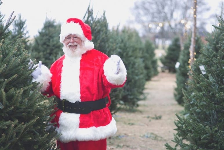 Gallery photo 3 of Santa Mike