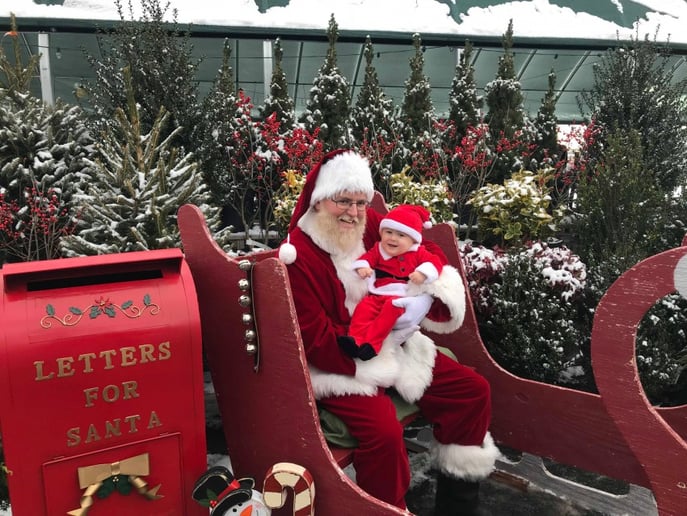 Gallery photo 2 of Santa Mike