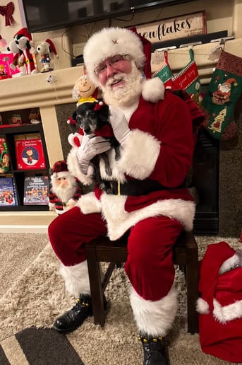 Gallery photo 6 of Santa Mike