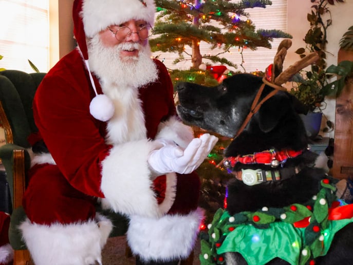 Gallery photo 1 of Santa Mike