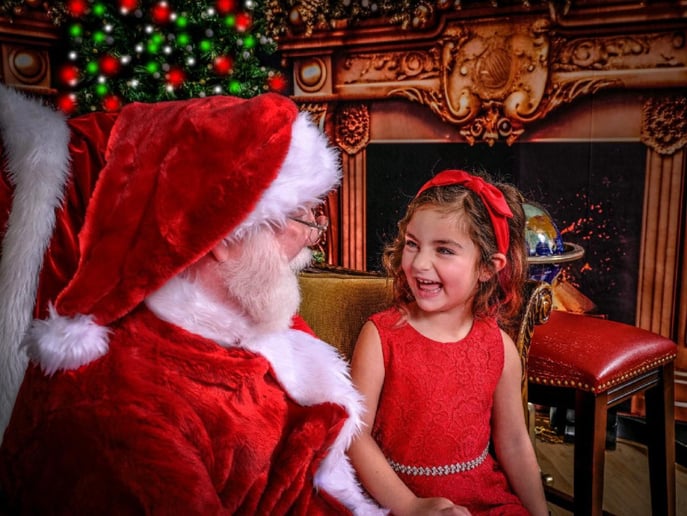 Gallery photo 7 of Santa Mike TN