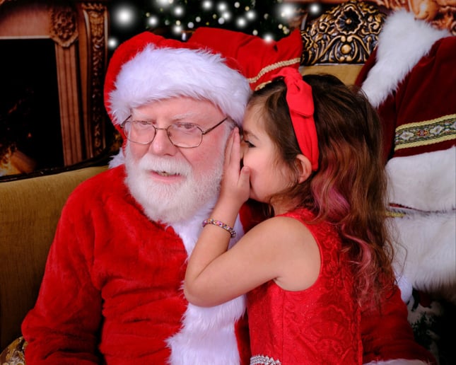 Gallery photo 8 of Santa Mike TN