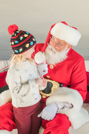 Gallery photo 8 of Santa Mitch Kringle