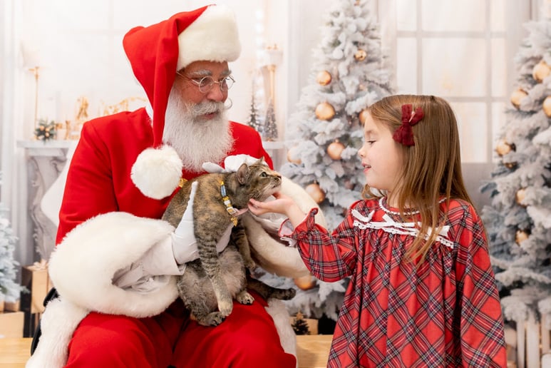 Gallery photo 10 of Santa Mitch Kringle