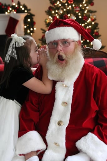 Gallery photo 4 of Santa Mooney