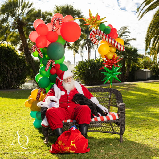 Gallery photo 3 of Santa Moose