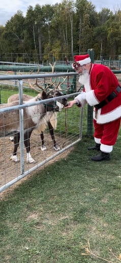Gallery photo 19 of Santa Rolly & Mrs. Claus
