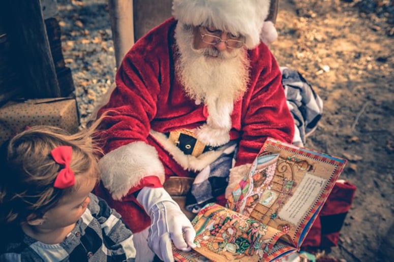 Gallery photo 5 of Santa Bill