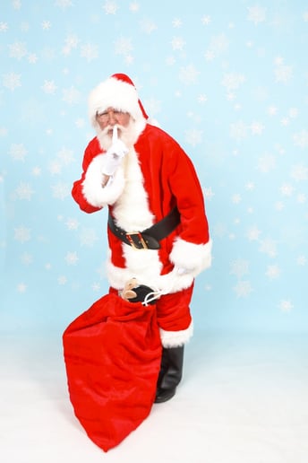 Gallery photo 8 of Santa Robby