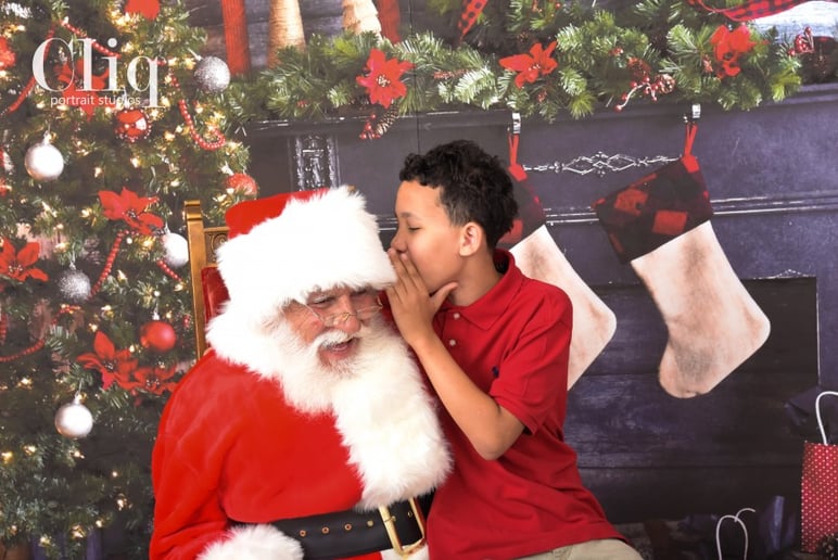 Gallery photo 2 of Santa Robby
