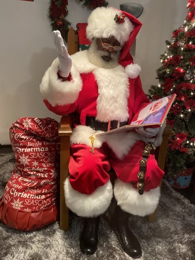 Gallery photo 9 of Detroit Santa Snow