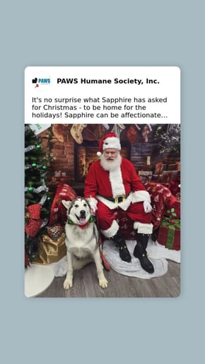 Gallery photo 3 of Santa Nathan