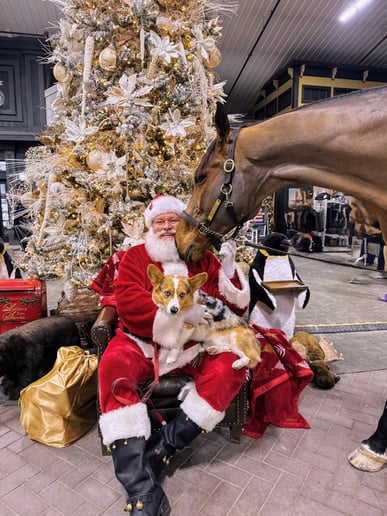Gallery photo 6 of Santa Nathan