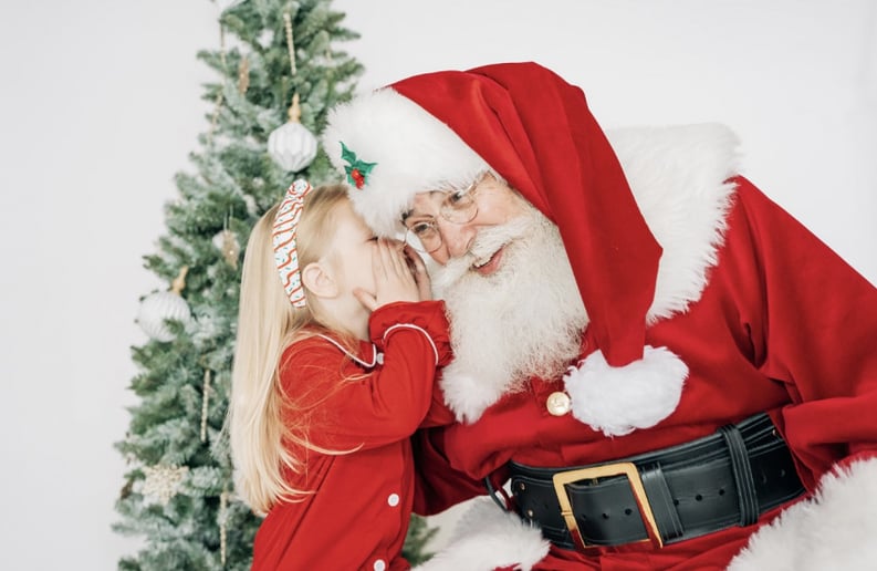 Gallery photo 2 of Santa Neal