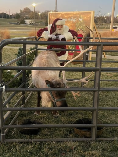 Gallery photo 7 of Santa Nicholas D