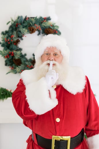 Gallery photo 15 of Santa Nick