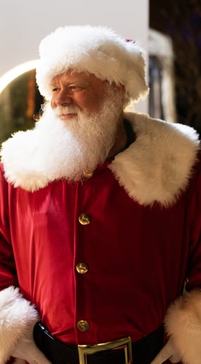 Gallery photo 29 of Santa Nick