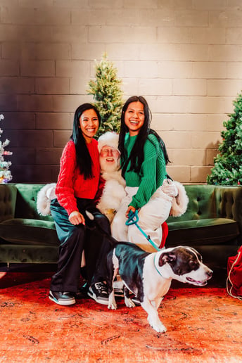 Gallery photo 14 of Santa Snow