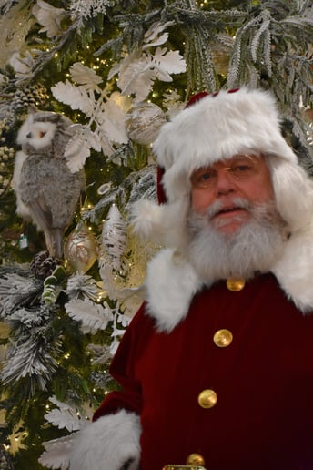 Gallery photo 6 of Santa Nick