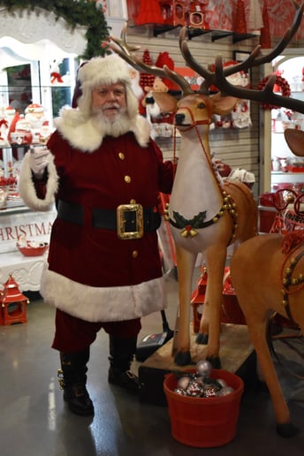 Gallery photo 11 of Santa Nick