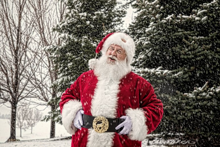 Gallery photo 8 of Santa Nick