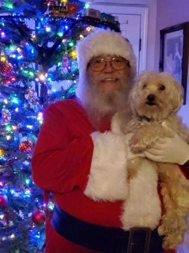 Gallery photo 6 of Santa Nicky