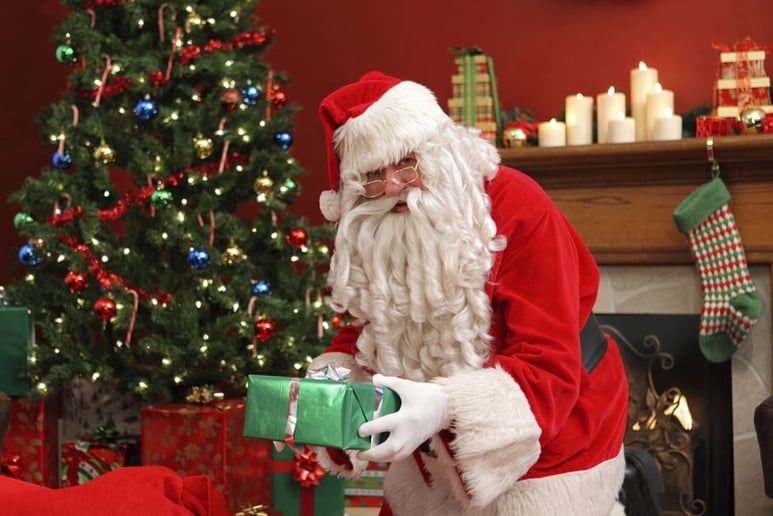 Gallery photo 2 of Santa Norris
