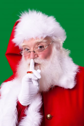 Gallery photo 2 of Santa of Atlanta