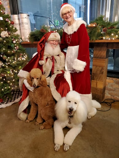 Gallery photo 8 of Santa of Course