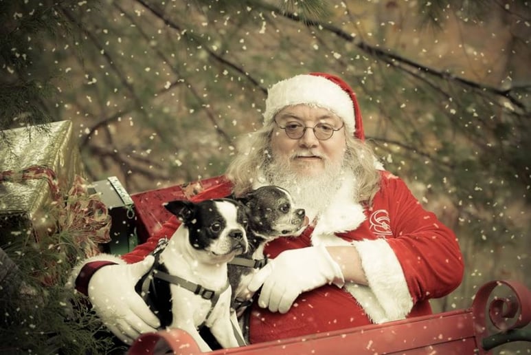 Gallery photo 3 of Santa of the Magic Valley