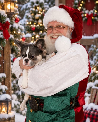 Gallery photo 5 of Santa O.G.