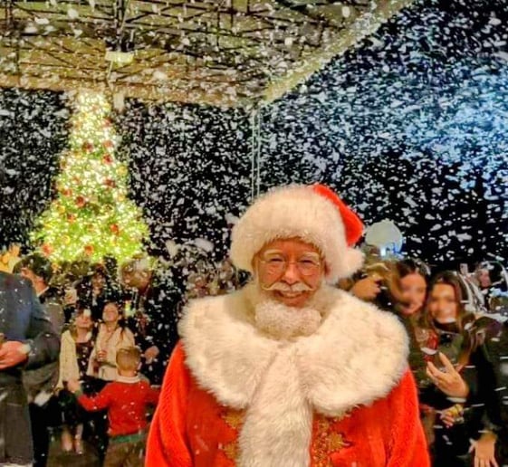 Gallery photo 4 of Santa Owen