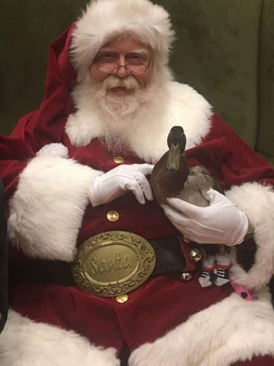 Gallery photo 3 of Santa Owen