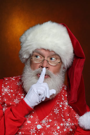 Gallery photo 4 of Santa Patrick