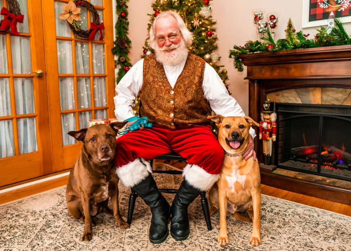 Gallery photo 1 of Santa Paul