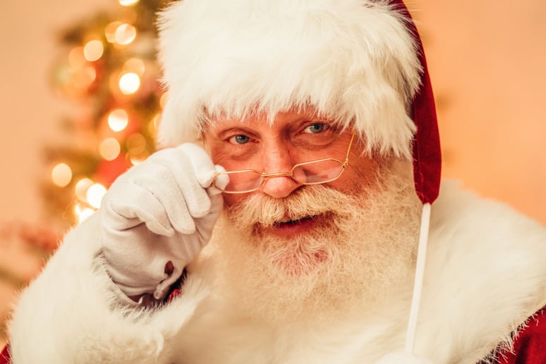 Gallery photo 5 of Santa Paul