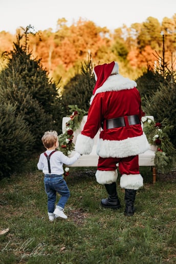 Gallery photo 10 of Santa Paul