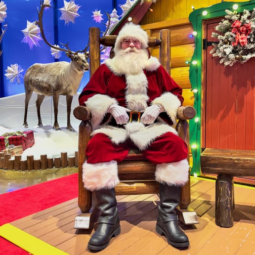 Gallery photo 3 of Santa Paul Real Beard